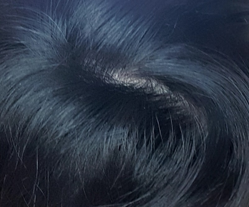 20190609_130210.jpg