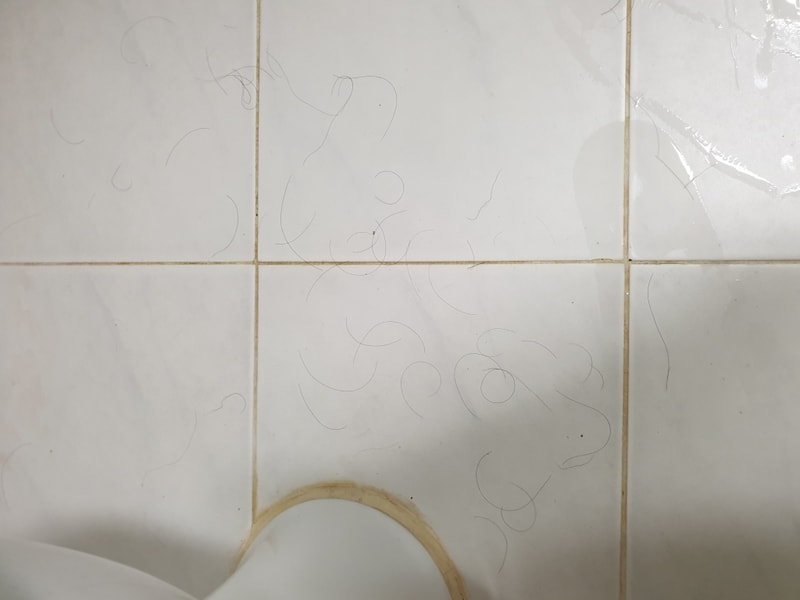 20190808_040541.jpg
