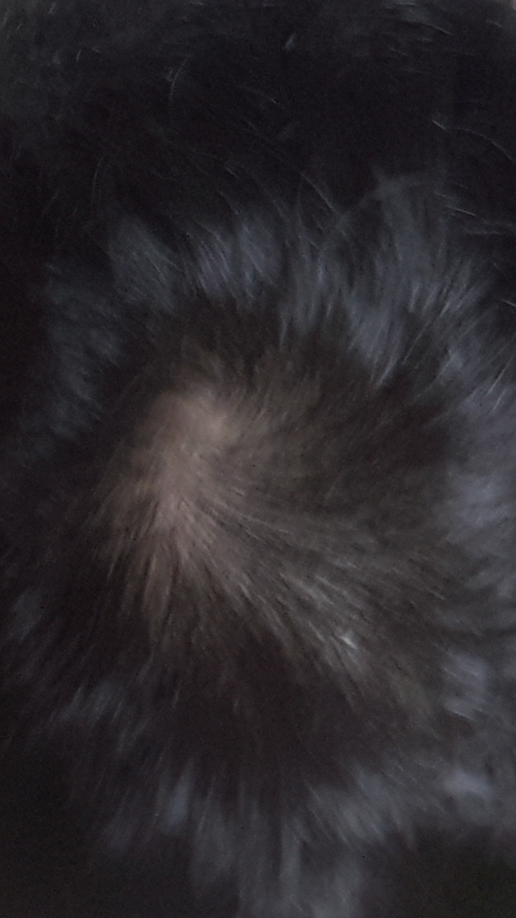 Screenshot_20180813-022739.png