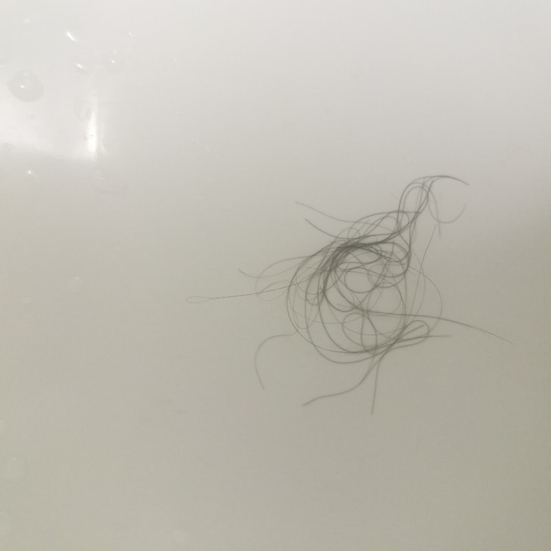 20200902_223123.jpg