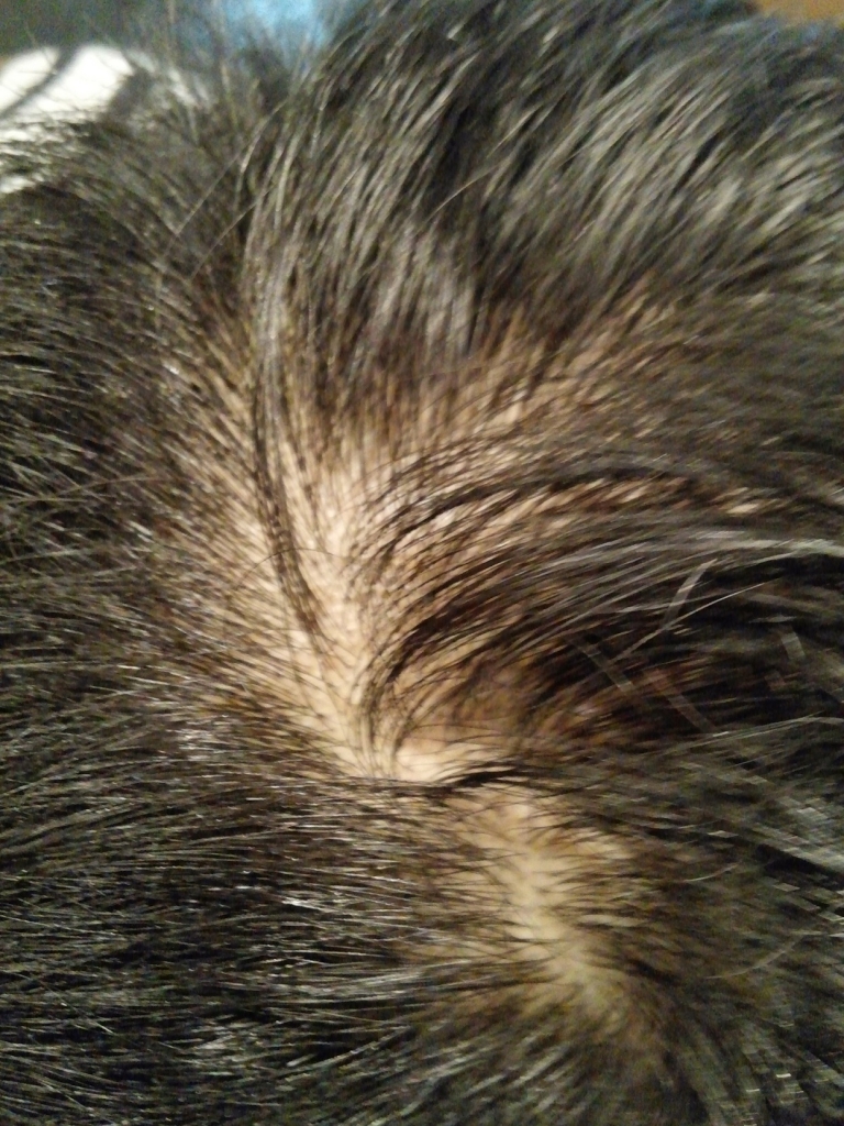 20150419_191049.jpg