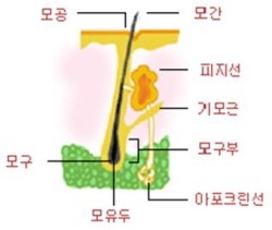 downloadfile-19.jpeg