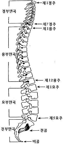 %B1%B8%C1%B6-gmlakd_987.jpg