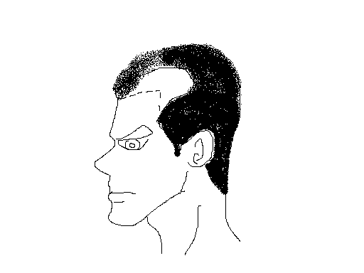내머리2.bmp