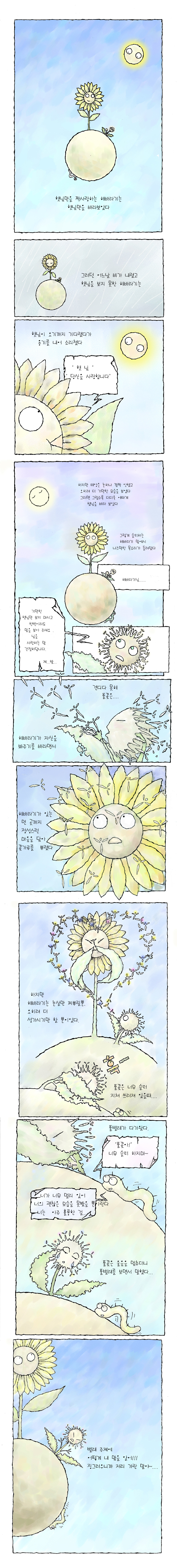 풀꽃.jpg