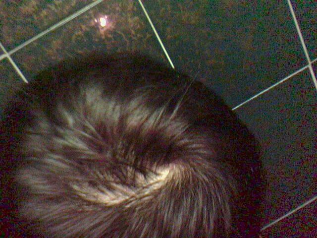 040624_005.jpg