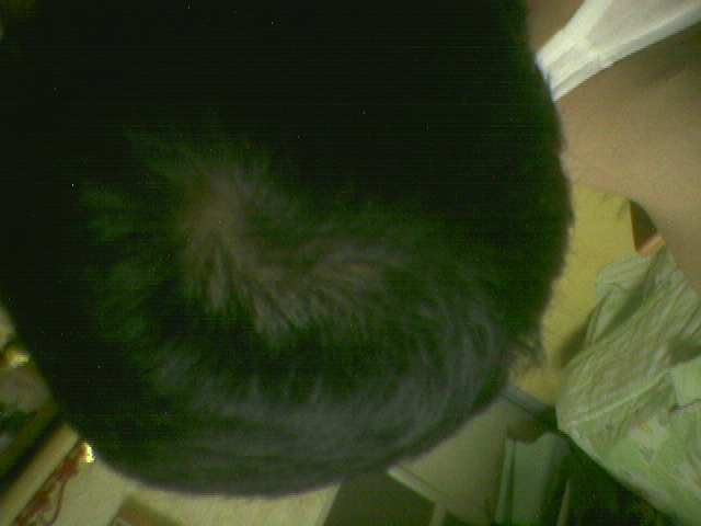 6_m00807121_002.jpg