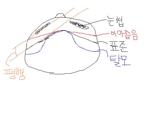 제목_없음.JPG