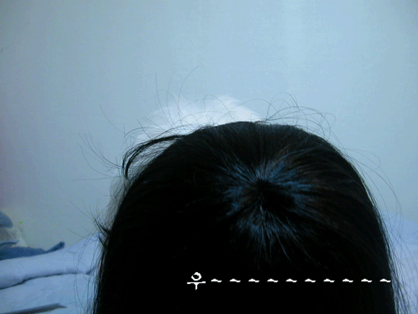 12.gif