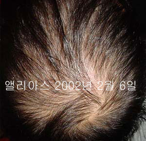 20020206.jpg
