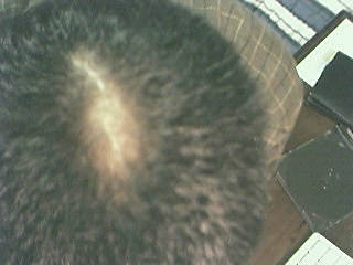 20030302_1.jpg