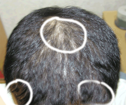 3.gif