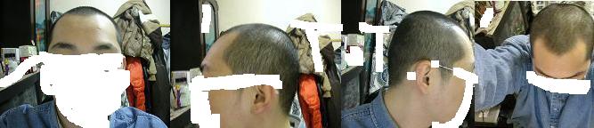 55.JPG