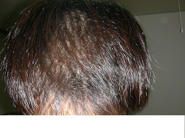 Dscn1777.jpg