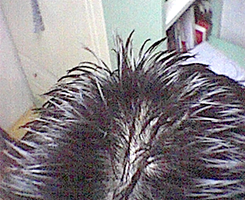 Image10.jpg