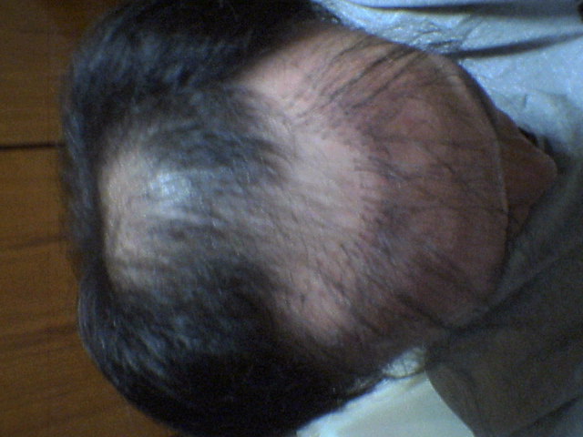 P0306013.jpg