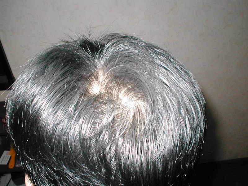 P1010026.JPG