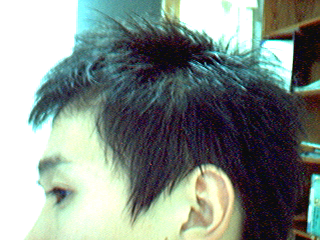 Pic5.bmp