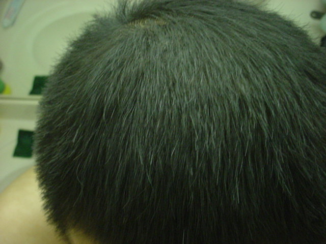 Picture_035.jpg