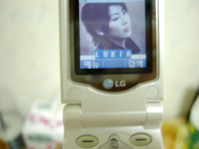 Sany0661.jpg