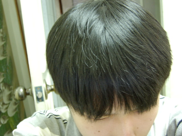 Sany0662.jpg