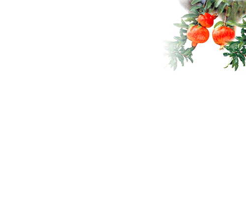 bg00.gif