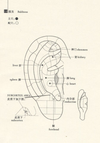 ear.jpg
