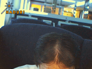 fd.gif