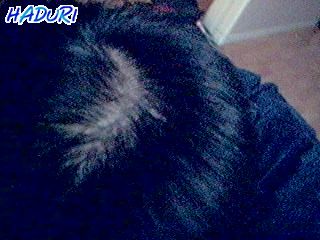 hair123.jpg