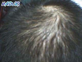 head.jpg