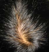 head2.jpg