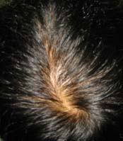head3.jpg
