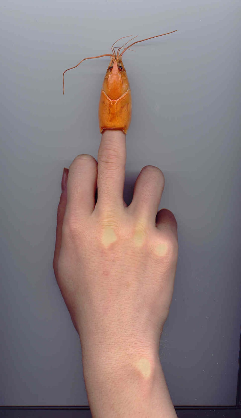 love_yupgi_000032.jpg