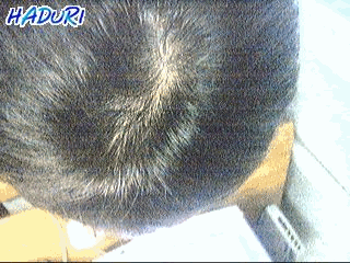 sg.gif