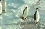 smile4u_137.gif