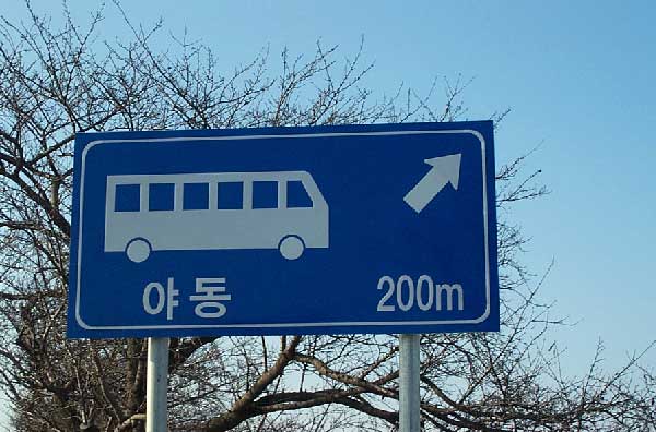 yadong200m.jpg
