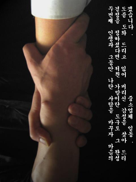2008 새로운 나를 만드시는 대다모 회원님들께...