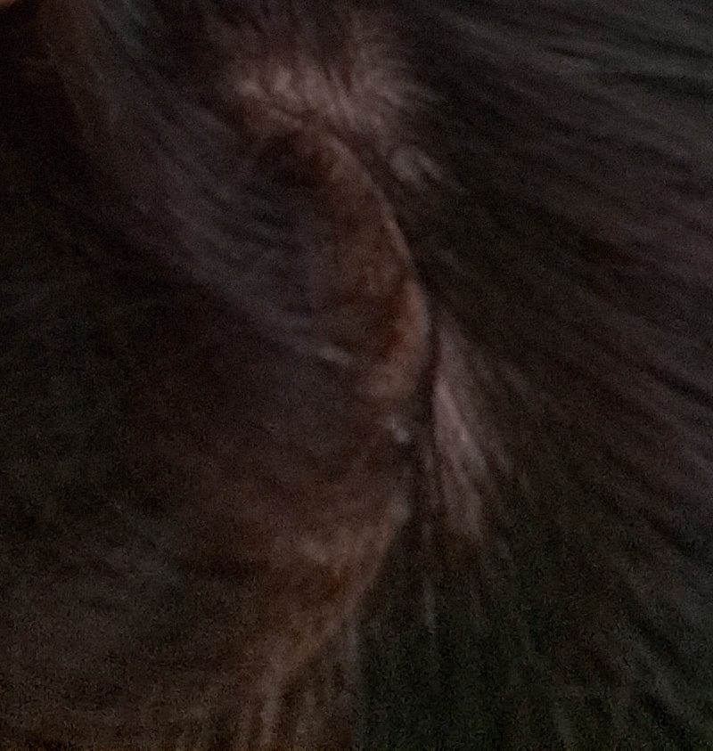 20210803_170617.jpg