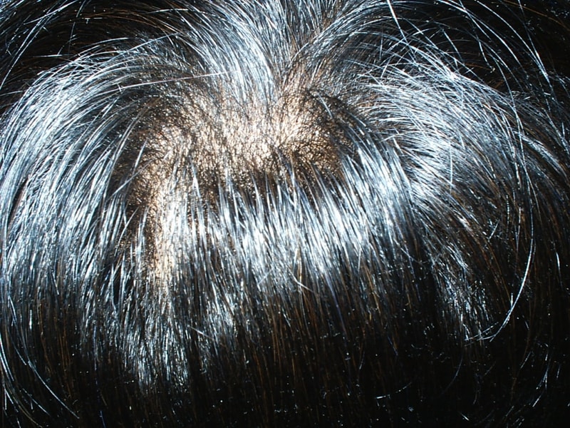 S2010013.JPG