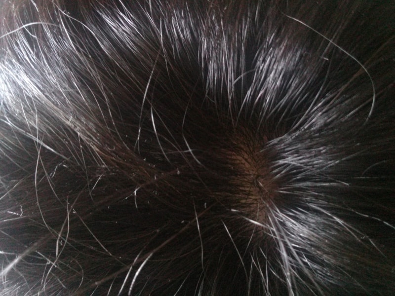 CAM00180.jpg