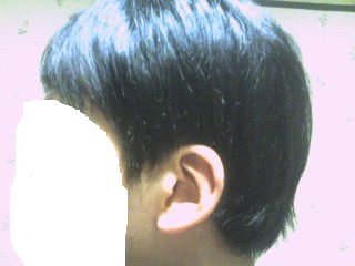 3.bmp