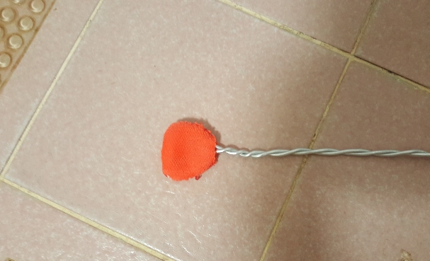 20181020_132838.jpg