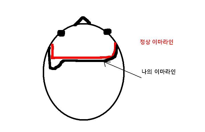 가발 추천좀^^;