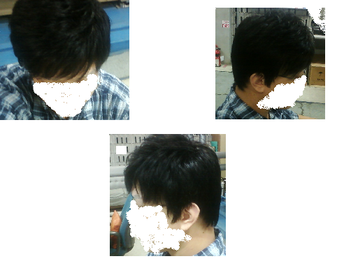 사진1-2.bmp