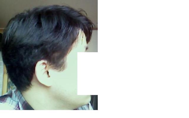 p1.jpg