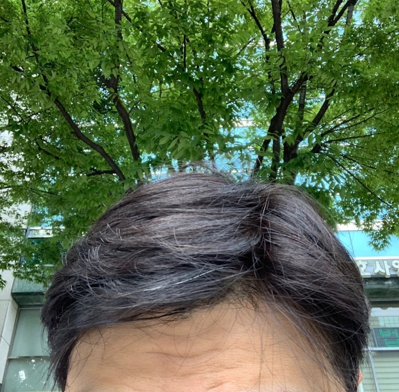 KakaoTalk_20190730_170907063.jpg