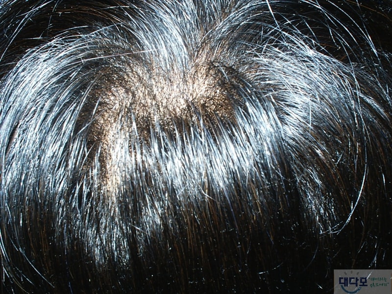 S2010013.JPG