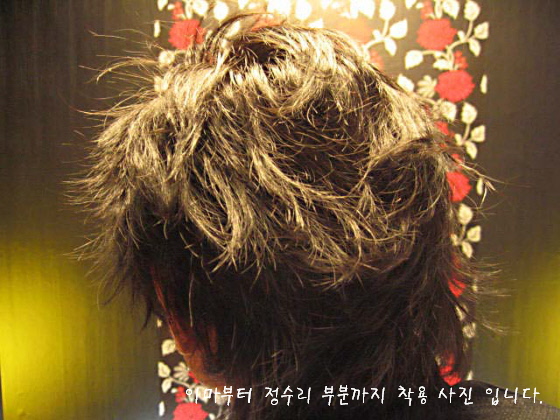 사본_시내 001.jpg