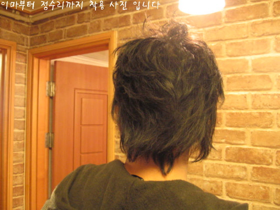 사본_시내 021.jpg