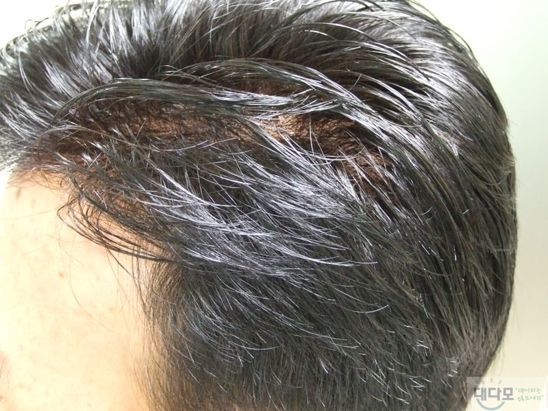2007_0209담기0026.jpg